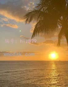 Ҫ